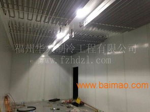 廈門食用菌冷庫 香菇種植冷庫 蘑菇冷庫 金針菇種植,廈門食用菌冷庫 香菇種植冷庫 蘑菇冷庫 金針菇種植生產(chǎn)廠家,廈門食用菌冷庫 香菇種植冷庫 蘑菇冷庫 金針菇種植價格